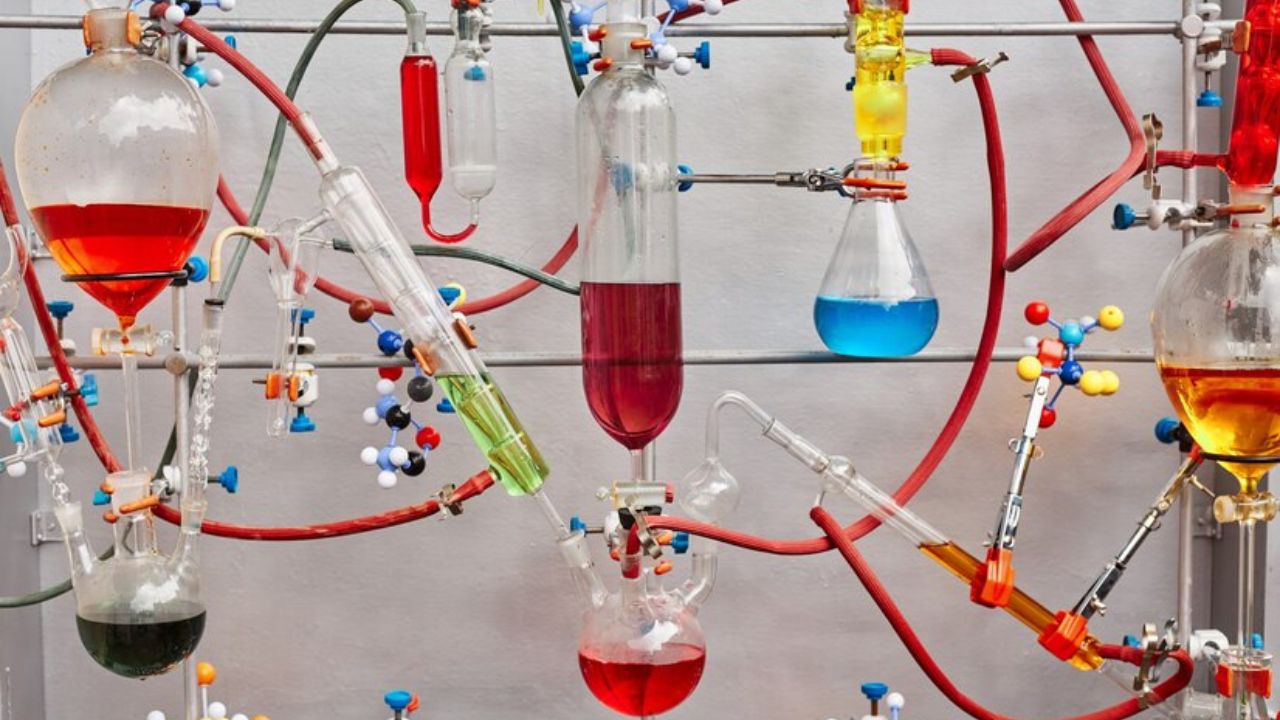 6530-20-1 Metabolites